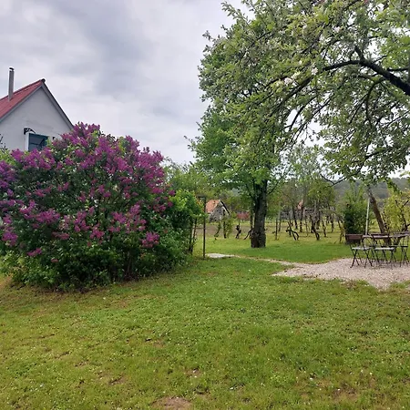 Spaletta Holiday home